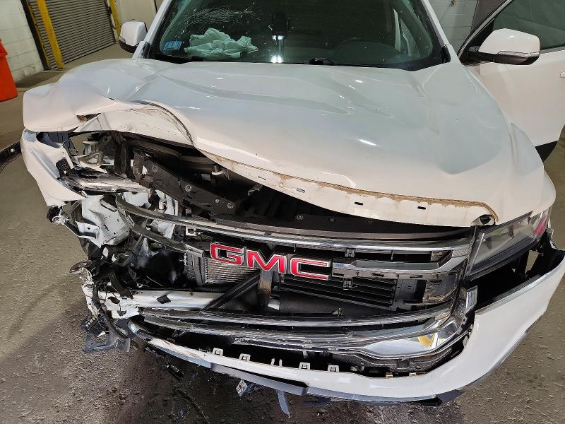 55925806 :رقم المزاد ، 1GKKNRLS9LZ110206 vin ، 2020 Gmc Acadia مزاد بيع