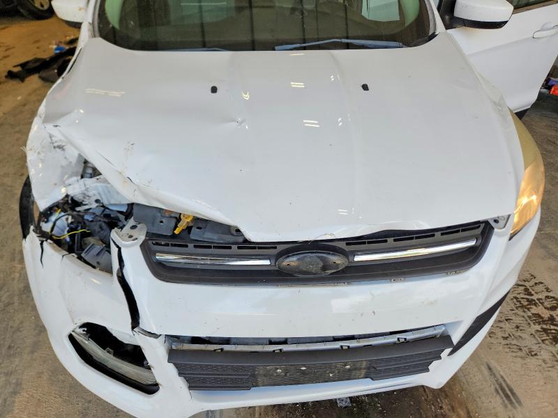 Продажа на аукционе авто 2015 Ford Escape, vin: 1FMCU9GX3FUB50254, номер лота: 56458506