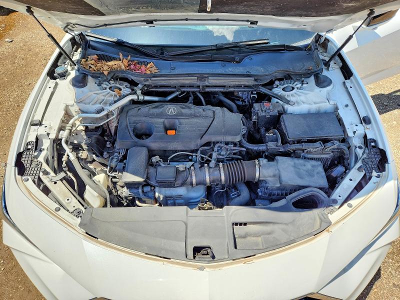 Продаж на аукціоні авто 2021 Acura Tlx, vin: 19UUB5F41MA011402, номер лоту: 56327456