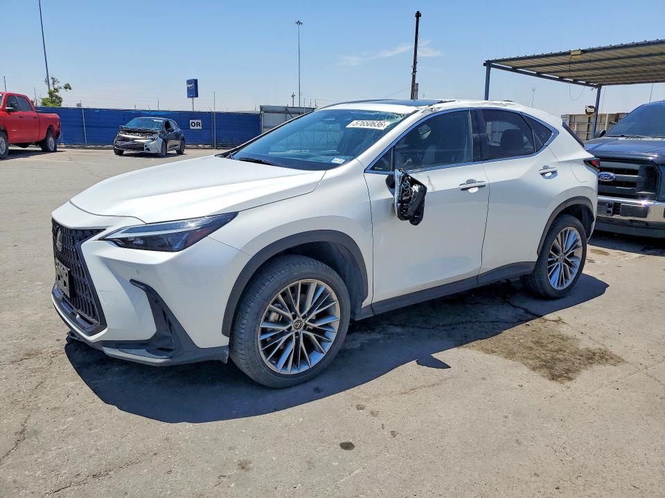 57650636 :رقم المزاد ، JTJGGCEZ3P5005433 vin ، 2023 Lexus Nx مزاد بيع