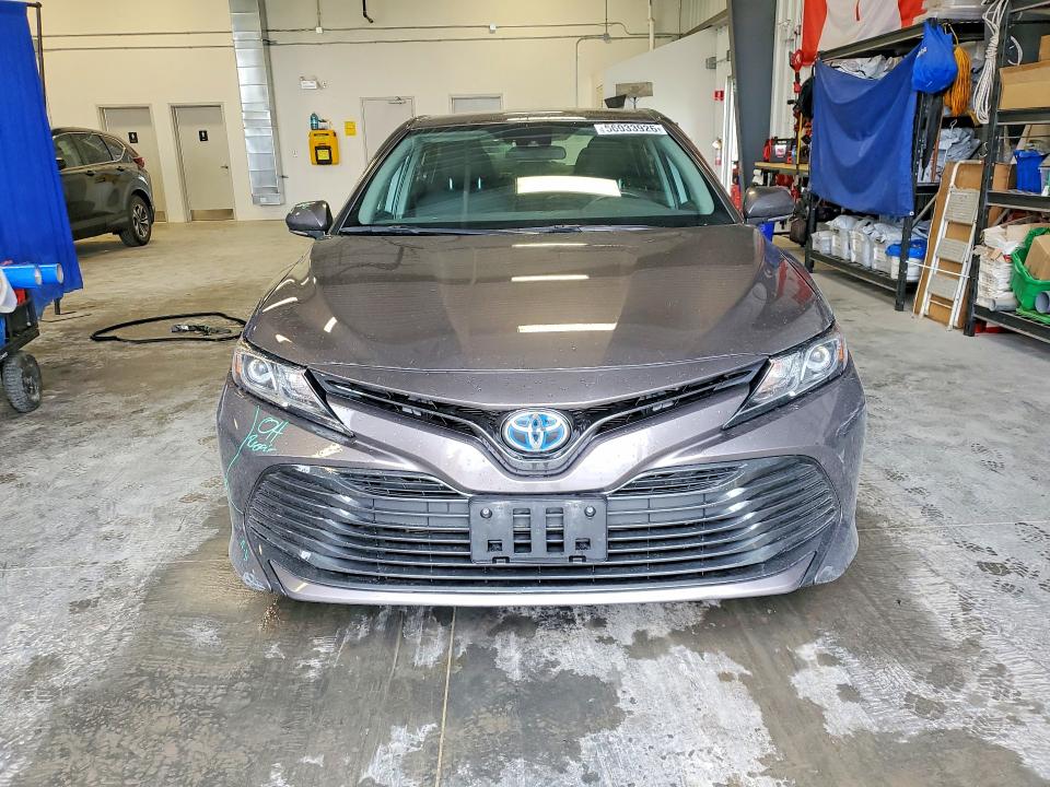 56033926 :رقم المزاد ، 4T1C31AK2LU534006 vin ، 2020 Toyota Camry مزاد بيع