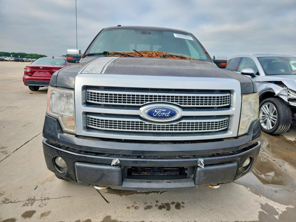 55830826 :رقم المزاد ، 1FTFW1EF7BFA36313 vin ، 2011 Ford F150 مزاد بيع
