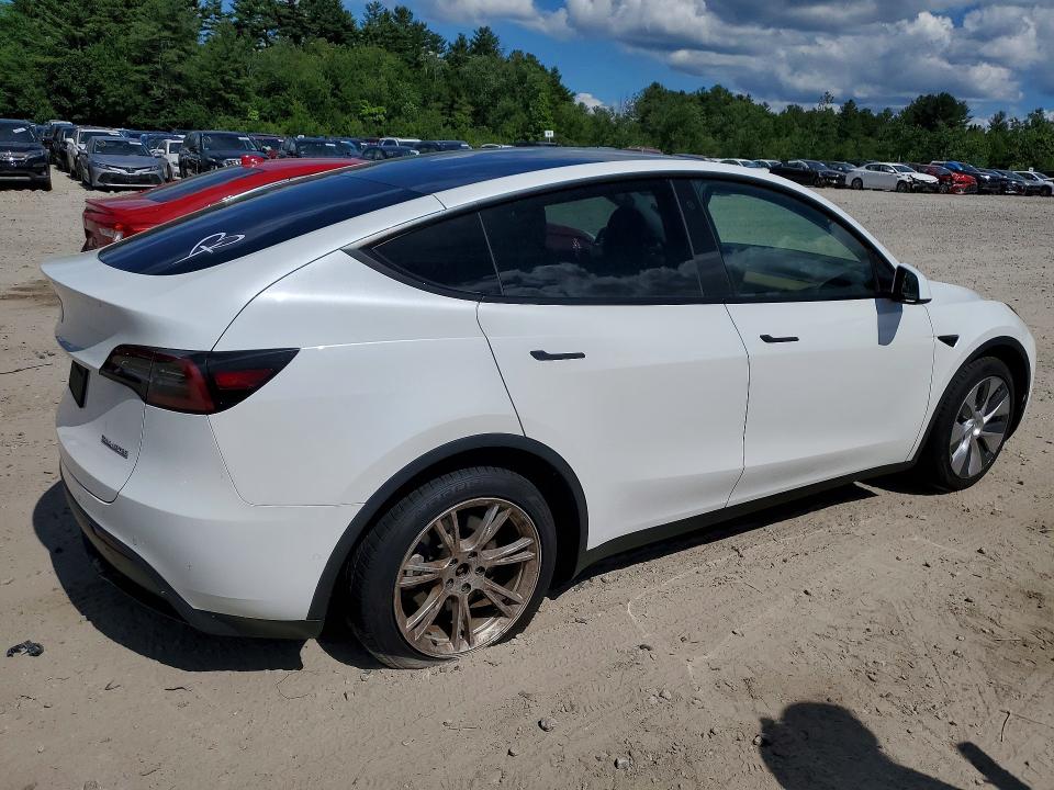 2021 Tesla Model  Y მანქანა იყიდება აუქციონზე, vin: 5YJYGDEE9MF255490, აუქციონის ნომერი: 57484476
