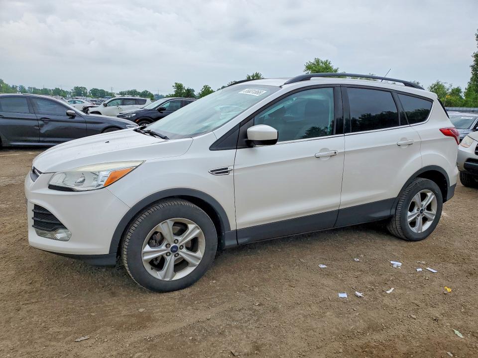 Продаж на аукціоні авто 2014 Ford Escape, vin: 1FMCU0GX8EUA32159, номер лоту: 55831866