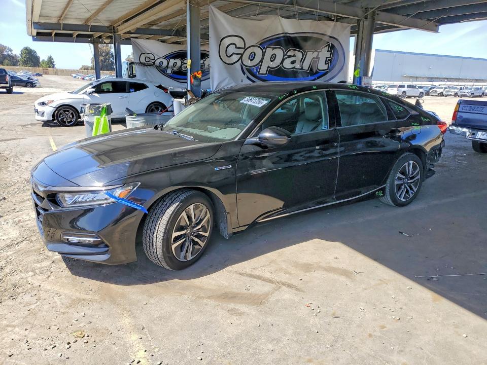 55641256 :رقم المزاد ، 1HGCV3F58KA020885 vin ، 2019 Honda Accord مزاد بيع