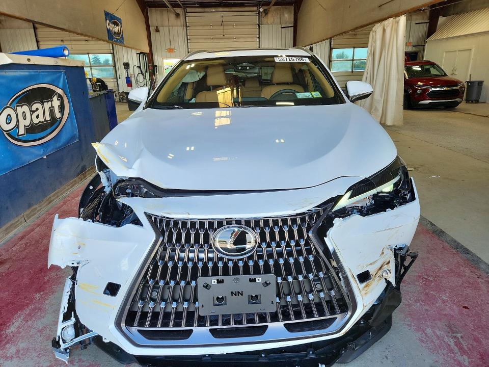 Продажа на аукционе авто 2026 Lexus Nx, vin: 2T2GGCEZ1TC117899, номер лота: 58726786