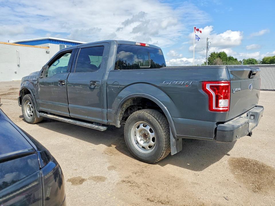 57172116 :رقم المزاد ، 1FTEW1EFXGFD05956 vin ، 2016 Ford F150 مزاد بيع