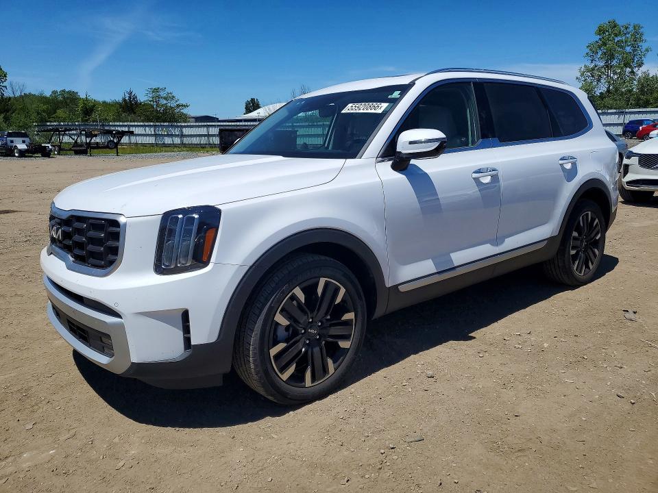55920866 :رقم المزاد ، 5XYP5DGC6RG551211 vin ، 2024 Kia Telluride مزاد بيع