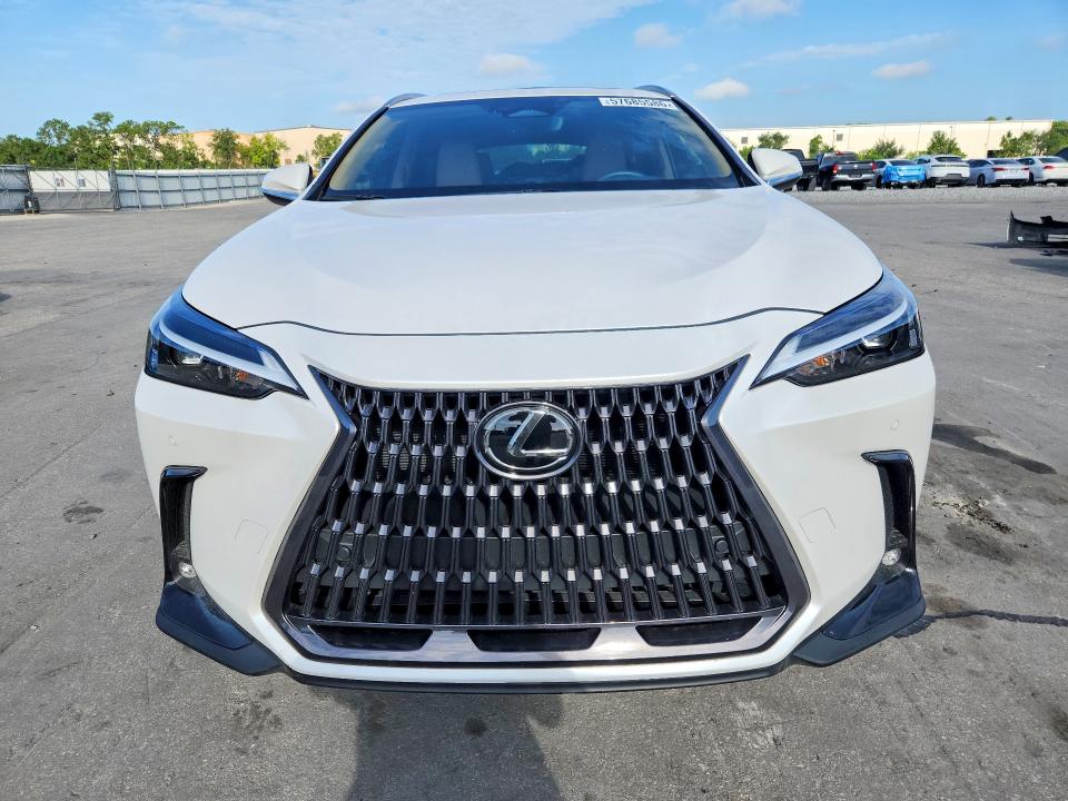 Продаж на аукціоні авто 2025 Lexus Nx, vin: 2T2GGCEZ8SC088304, номер лоту: 57685586