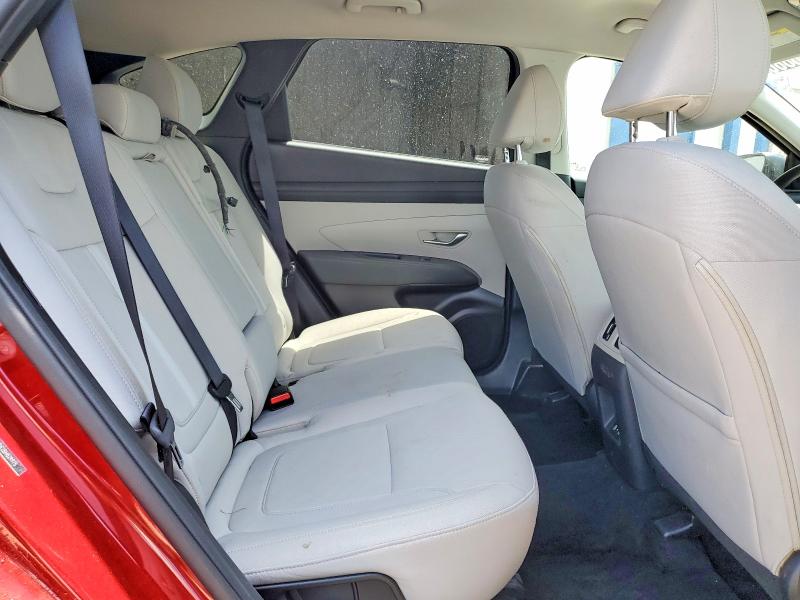 Продажа на аукционе авто 2025 Hyundai Tucson, vin: 5NMJB3DE2SH529975, номер лота: 56168886