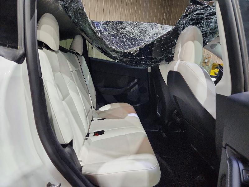 Продажа на аукционе авто 2023 Tesla Model Y, vin: 7SAYGDEE0PF614538, номер лота: 56280396