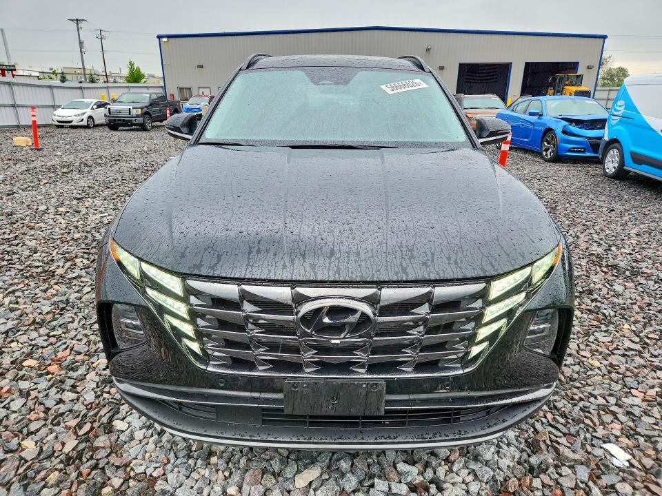 Продажа на аукционе авто 2023 Hyundai Tucson, vin: 5NMJECAE1PH187731, номер лота: 56666626