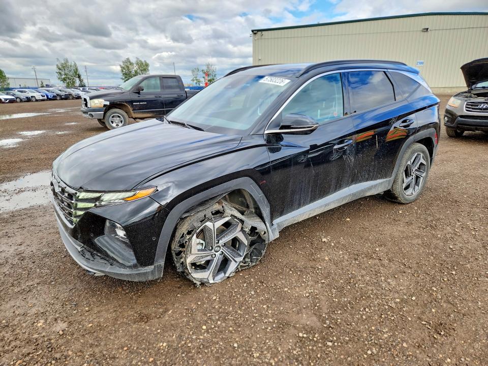 Продаж на аукціоні авто 2024 Hyundai Tucson, vin: KM8JCCD14RU181914, номер лоту: 57503226