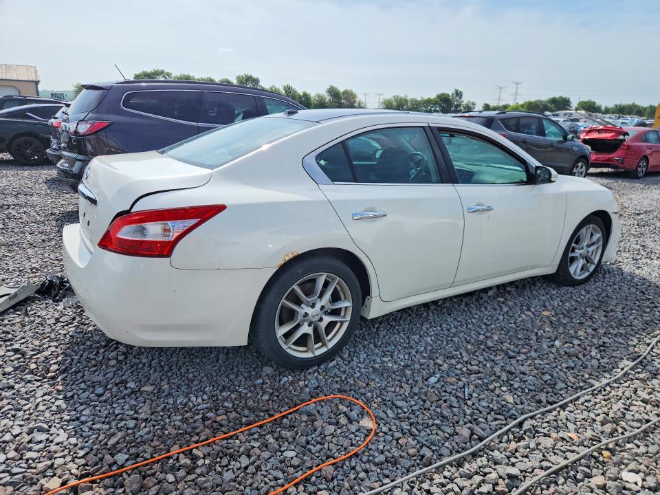 Продаж на аукціоні авто 2010 Nissan Maxima, vin: 1N4AA5AP3AC862466, номер лоту: 56453256