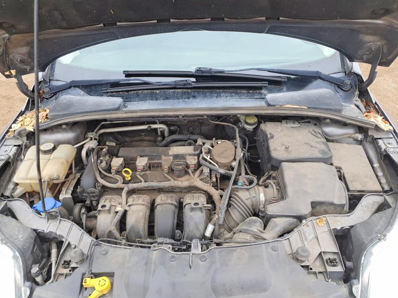 Aukcja sprzedaży 2013 Ford Focus, vin: 1FADP3F29DL205513, numer aukcji: 54922046