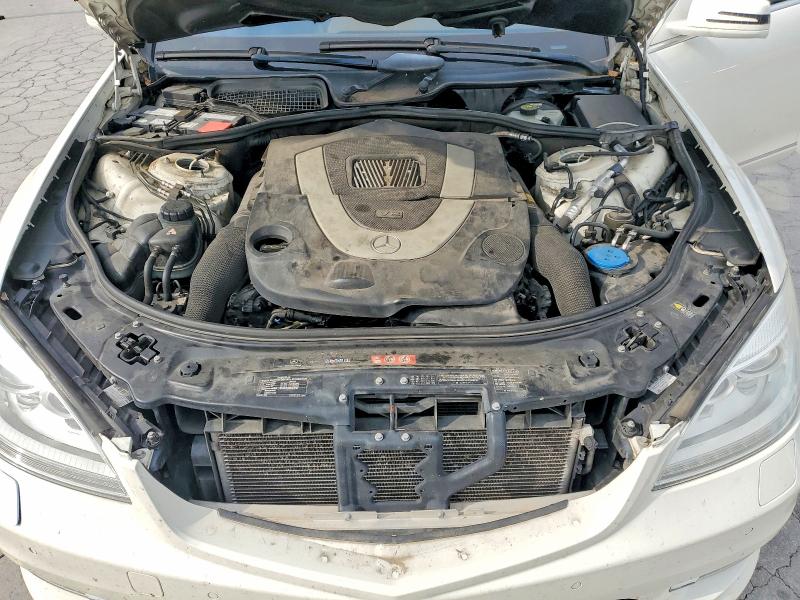 Продаж на аукціоні авто 2010 Mercedes-benz S, vin: WDDNG8GB4AA338493, номер лоту: 58549146