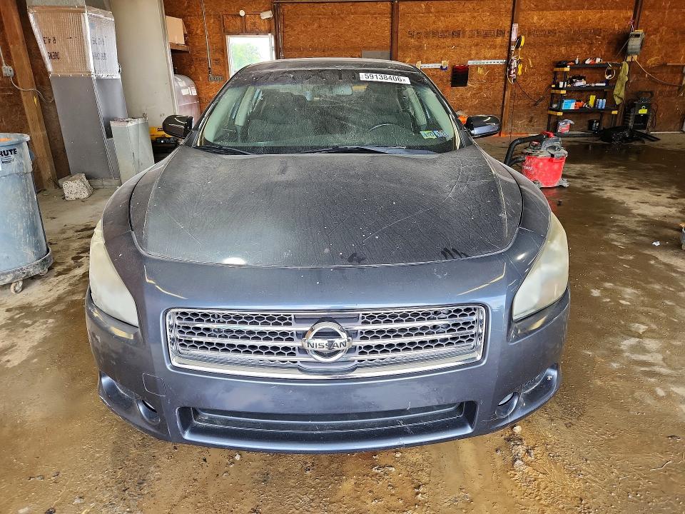 Продаж на аукціоні авто 2010 Nissan Maxima, vin: 1N4AA5AP3AC808567, номер лоту: 59138406