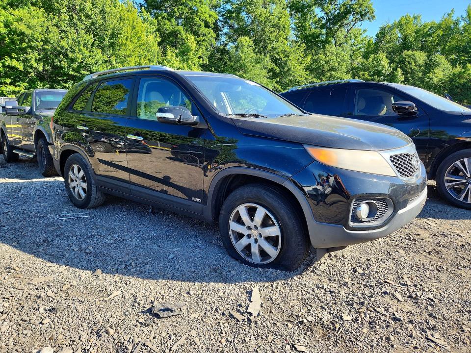 Продаж на аукціоні авто 2011 Kia Sorento, vin: 5XYKTCA13BG163537, номер лоту: 55431876