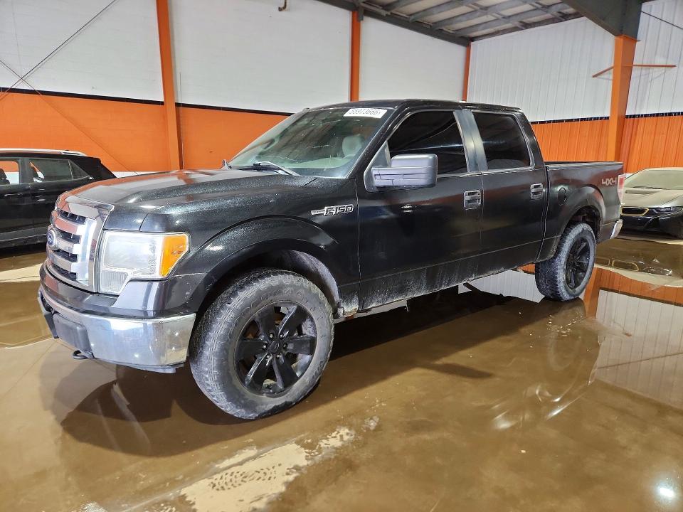 55973666 :رقم المزاد ، 1FTFW1EV7AFD34561 vin ، 2010 Ford F150 مزاد بيع