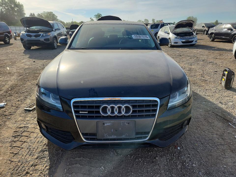 Продаж на аукціоні авто 2009 Audi A4, vin: WAULF78K99N068451, номер лоту: 55561516