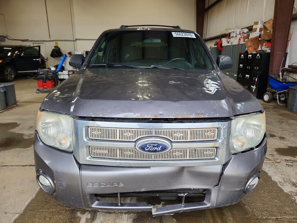 Продаж на аукціоні авто 2010 Ford Escape, vin: 1FMCU9DG8AKB39369, номер лоту: 56623976