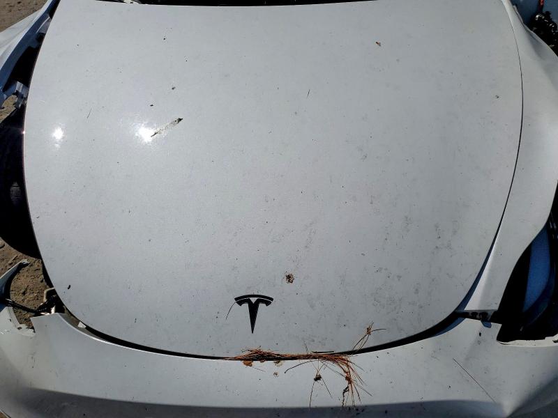 Aukcja sprzedaży 2023 Tesla Model Y, vin: 7SAYGDEE2PF851533, numer aukcji: 55862636