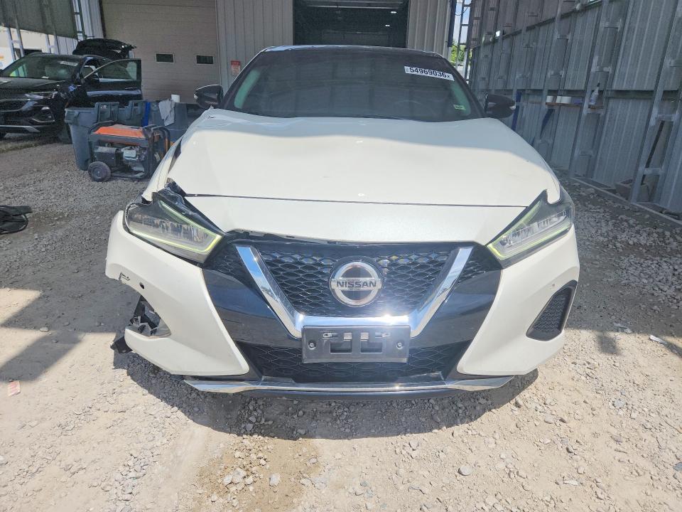54969036 :رقم المزاد ، 1N4AA6AV8KC371123 vin ، 2019 Nissan Maxima مزاد بيع
