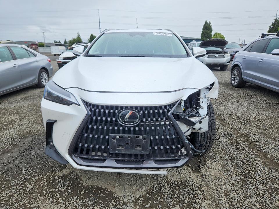 Продаж на аукціоні авто 2023 Lexus Nx, vin: JTJAKCEZ6P5007133, номер лоту: 56609946