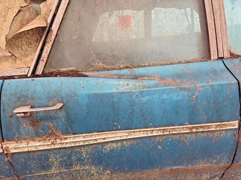 Продаж на аукціоні авто 1968 Plymouth Gran Fury, vin: PM41F8D161519, номер лоту: 55557416