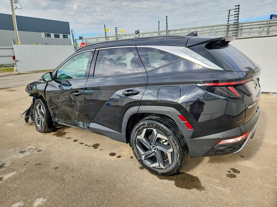 2024 Hyundai Tucson მანქანა იყიდება აუქციონზე, vin: KM8JCCD19RU181617, აუქციონის ნომერი: 57913316