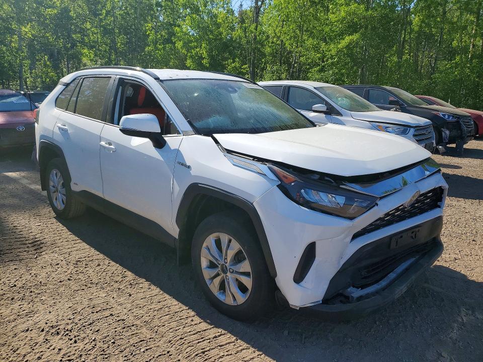 55351566 :رقم المزاد ، 2T3BWRFV7KW003782 vin ، 2019 Toyota Rav4 مزاد بيع