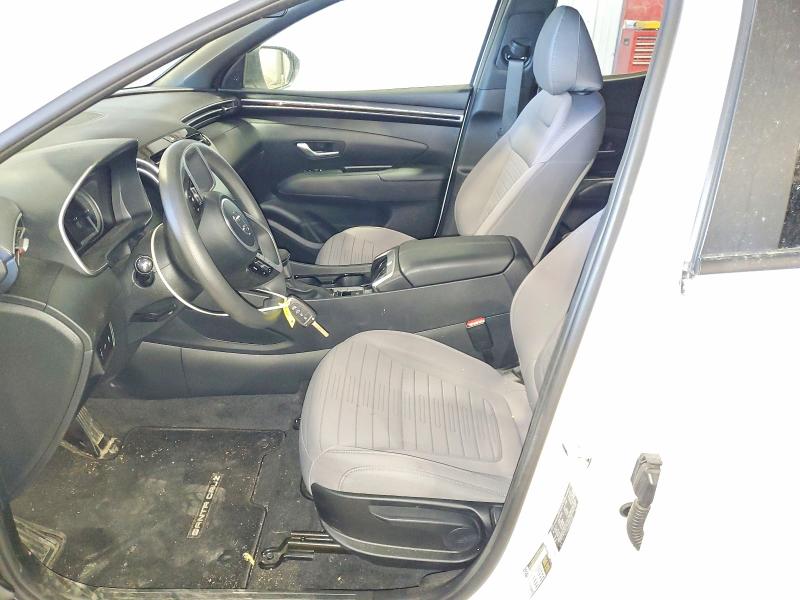 Продаж на аукціоні авто 2024 Hyundai Santa Cruz, vin: 5NTJADAE6RH077749, номер лоту: 54960076