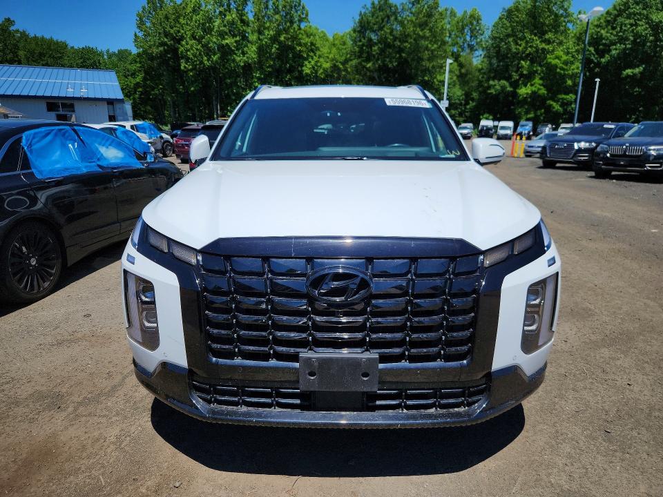 Aukcja sprzedaży 2024 Hyundai Palisade, vin: KM8R7DGE2RU673613, numer aukcji: 55968196