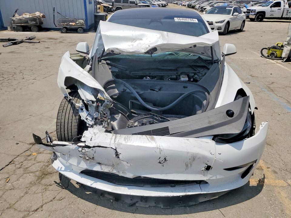 Продаж на аукціоні авто 2023 Tesla Model 3, vin: 5YJ3E1EAXPF502676, номер лоту: 56460786
