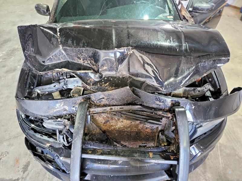 2017 Dodge Charger მანქანა იყიდება აუქციონზე, vin: 2C3CDXKT9HH596240, აუქციონის ნომერი: 56946526
