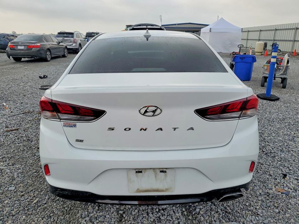 56329606 :رقم المزاد ، 5NPE24AF4KH813034 vin ، 2019 Hyundai Sonata مزاد بيع