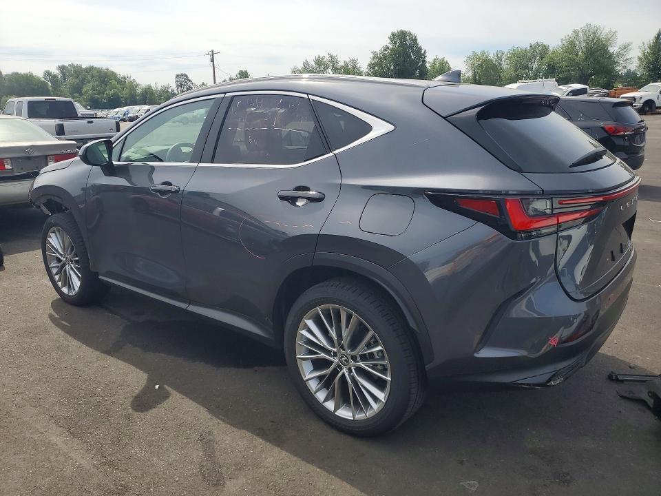 2024 Lexus Nx მანქანა იყიდება აუქციონზე, vin: 2T2HGCEZXRC035599, აუქციონის ნომერი: 57749296