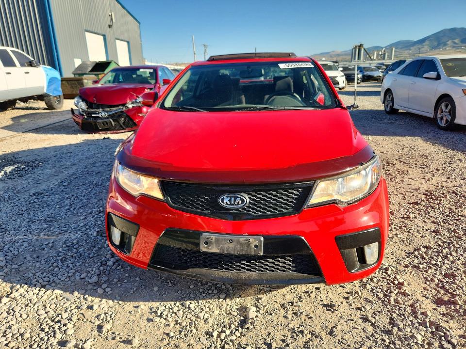 Продажа на аукционе авто 2010 Kia Forte, vin: KNAFW6A31A5131332, номер лота: 55580496
