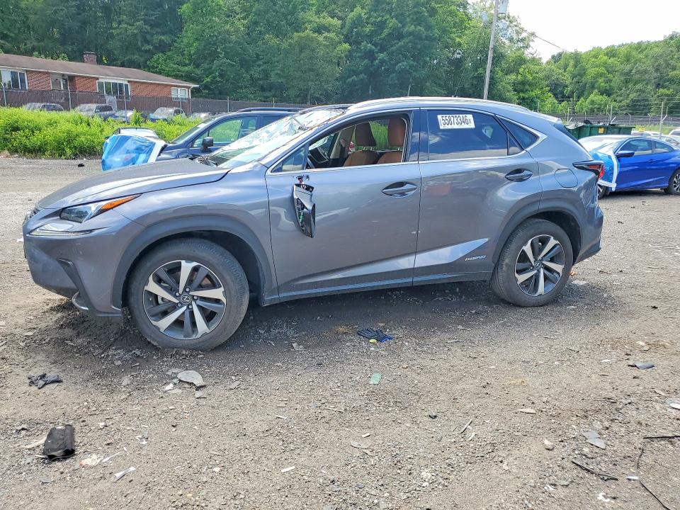 Продаж на аукціоні авто 2021 Lexus Nx 300h, vin: JTJGJRDZ6M2164143, номер лоту: 55873346