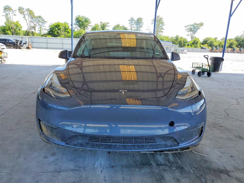 Продажа на аукционе авто 2023 Tesla Model Y, vin: 7SAYGDEE0PA144542, номер лота: 56162526