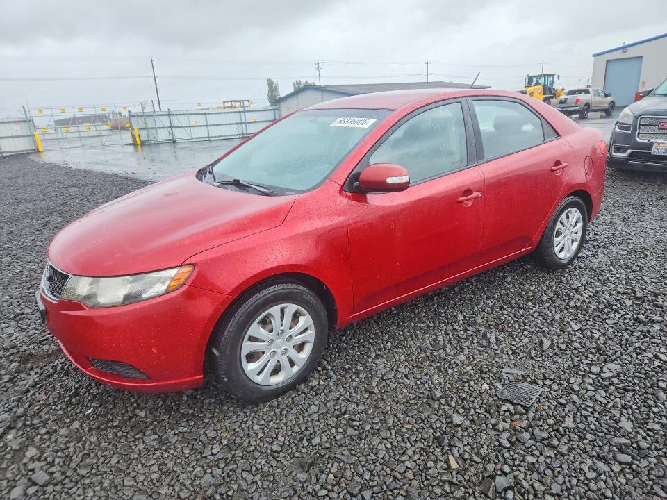 Auction sale of the 2010 Kia Forte, vin: KNAFU4A24A5053176, lot number: 56836006