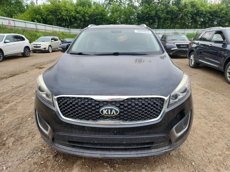 58944646 :رقم المزاد ، 5XYPG4A37GG101423 vin ، 2016 Kia Sorento مزاد بيع