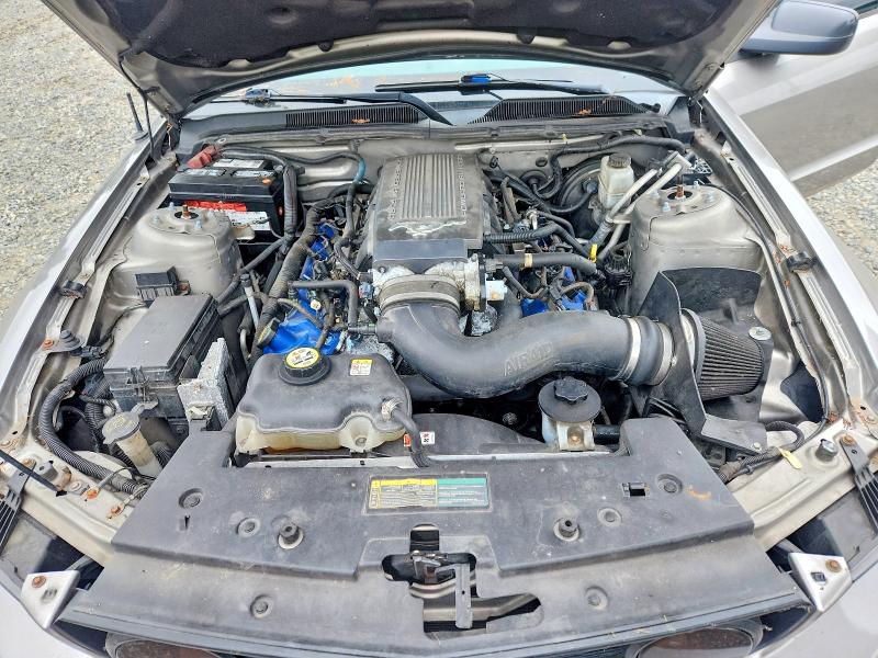 Продажа на аукционе авто 2009 Ford Mustang, vin: 1ZVHT82H695110558, номер лота: 58982926