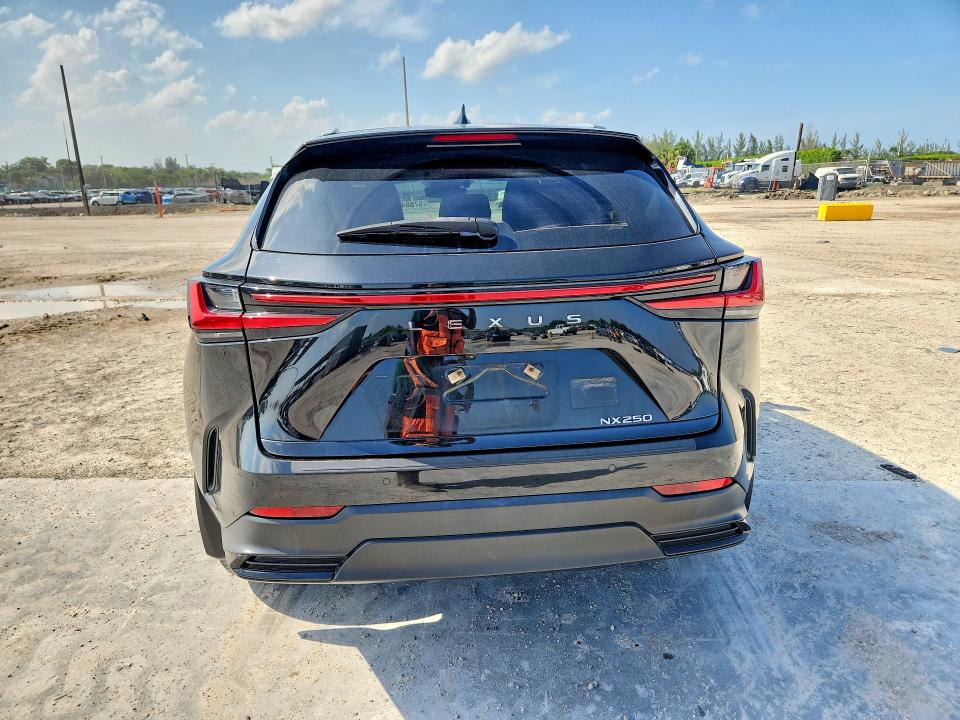 2024 Lexus Nx მანქანა იყიდება აუქციონზე, vin: 2T2GDCAZ5RC007509, აუქციონის ნომერი: 57884766