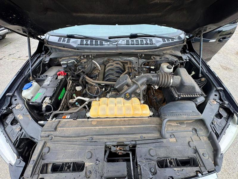 2017 Ford F150 მანქანა იყიდება აუქციონზე, vin: 1FTEW1EF0HFA91903, აუქციონის ნომერი: 59604706