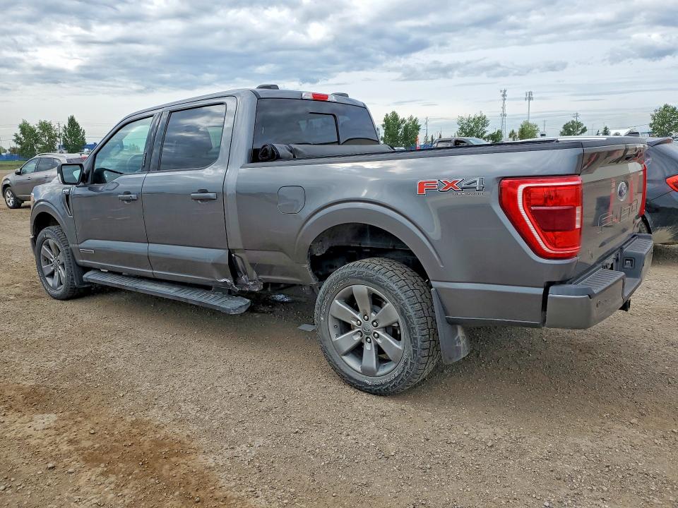 Aukcja sprzedaży 2023 Ford F150, vin: 1FTFW1ED7PFA28069, numer aukcji: 58999686