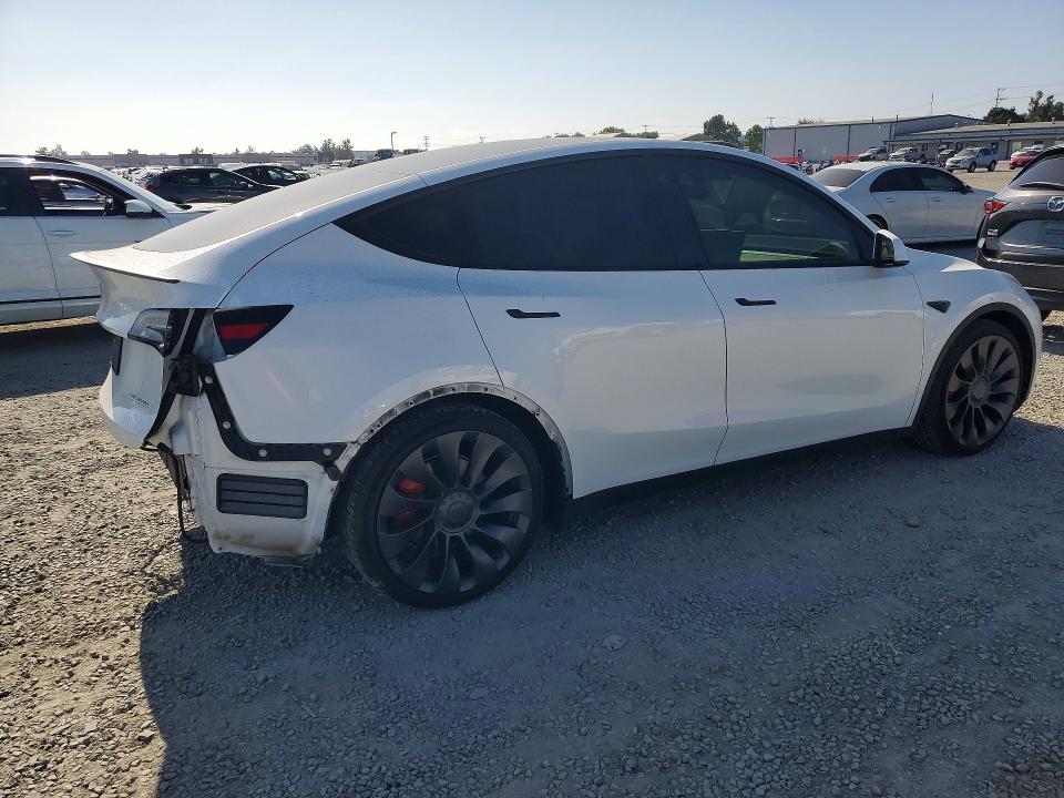 55653136 :رقم المزاد ، 5YJYGDEF1MF219995 vin ، 2021 Tesla Model Y مزاد بيع