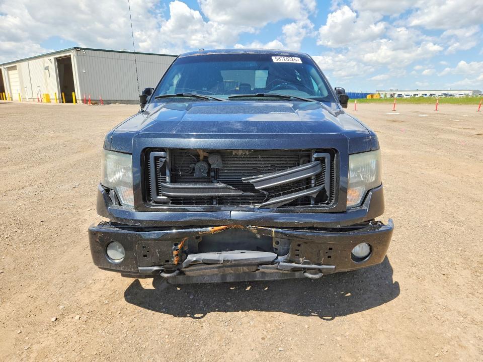 2013 Ford F150 მანქანა იყიდება აუქციონზე, vin: 1FTFW1EF6DFA83397, აუქციონის ნომერი: 58726326