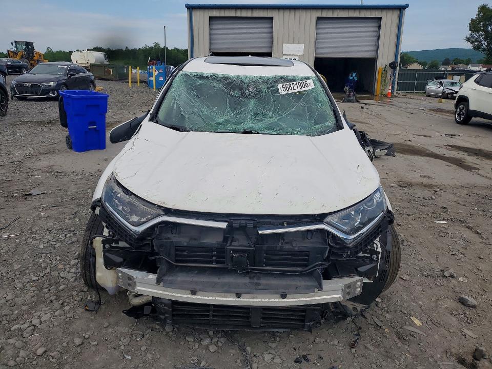 Продаж на аукціоні авто 2019 Honda Cr-v, vin: 5J6RW2H83KL025546, номер лоту: 56821906
