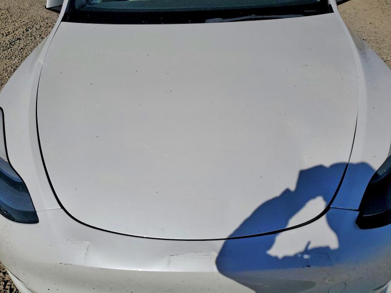 Aukcja sprzedaży 2023 Tesla Model Y, vin: 7SAYGDEE5PF647891, numer aukcji: 56650206